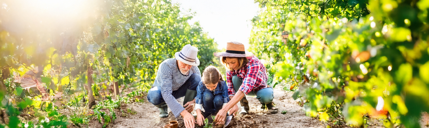 parents showing their child how to plant a seedling